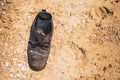 Old age worn shoe on the sand beach Royalty Free Stock Photo