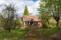 Old aged abandoned cabin house in the woods. Dacha or guest house. Nobody lives there. The old wooden building fell into disrepair Royalty Free Stock Photo