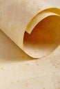 Old aged blank rolled parchment. Antique document. Vintage manuscript Royalty Free Stock Photo