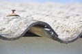 Old aged and damaged dangerous asbestos roof made of prefabricated and wave-shaped panels with wooden structure Royalty Free Stock Photo