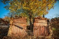 Decay of the old wooden house