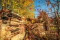 Damaged wooden house in fall