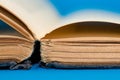 Old, aged empty book pages close up macro shot Royalty Free Stock Photo