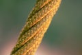 old aged macro thread narrow focus textured view strained rope close up object and blurred background space