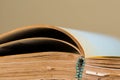 Old , aged, orange book pages close up macro shot Royalty Free Stock Photo