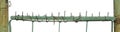 Old aged weathered green painted metallic vintage fence gate large detailed upward driven security nails closeup panorama isolated