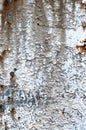 Old aged weathered grunge rust color-peel rusty metal texture, detailed vertical macro closeup, natural rusted textured grained