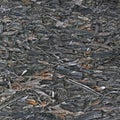 Old aged weathered oriented strand board OSB chipboard texture, grungy grey horizontal pattern, vertical rustic macro closeup