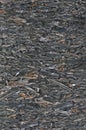 Old aged weathered oriented strand board OSB chipboard texture, grungy grey horizontal pattern, vertical rustic macro closeup