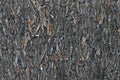 Old aged weathered oriented strand board OSB chipboard texture, grungy grey vertical pattern, horizontal rustic macro closeup,