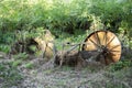 Old agricultural equipment in the green thickets in Tuscany, Italy Royalty Free Stock Photo