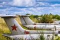 Old aircrafts in elderberry bush, Aero L-29 Delfin Maya czechoslovakian military jet trainer Royalty Free Stock Photo