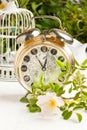 Old alarm-clock with flowers Royalty Free Stock Photo