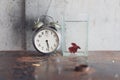 Old alarm clock and Siamese Fighting Fish bowl on rusty iron tab Royalty Free Stock Photo