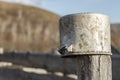 Old aluminum saucepan hanging on a wooden stanchion outdoors. Blurred copy space Royalty Free Stock Photo