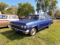 Old AMC Rambler Classic 660 Deluxe station wagon 1965 - 1966 . Nature, grass, trees. Classic car Royalty Free Stock Photo