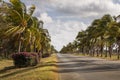 Old american car on street with full of palm trees around. Beatiful road of Bay of Pigs, Cuba