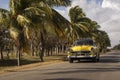 Old american car on street with full of palm trees around. Beatiful road of Bay of Pigs, Cuba