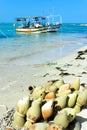 Old Amphoras on the Shore of the Mediterranean sea in Djerba, Tunisia Royalty Free Stock Photo