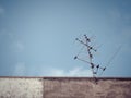 Old analog antenna for TV with blue sky background.