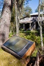 Old analog television in forest