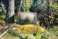 Old analog television in forest