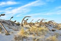 The old Anchor cemetery at the Barril beach