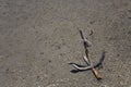 Old anchor stands on the beach