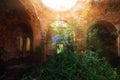 Old ancient abandoned red brick ruins overgrown by plants Royalty Free Stock Photo