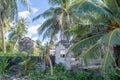 Old ancient abandoned ruined house in the jungles tree in the village at tropical island Royalty Free Stock Photo