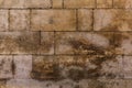 Old ancient brick wall grunge texture Royalty Free Stock Photo