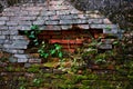 Old & ancient brickwall texture with moss