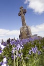 Old ancient Celtic Irish graveyard with bluebells