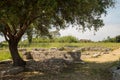 Old ancient city of Paestum. Ruins of houses