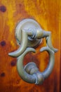 Old ancient door knocker on wooden door Royalty Free Stock Photo