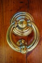 Old ancient door knocker on wooden door Royalty Free Stock Photo