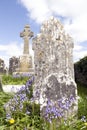 Old ancient Irish Celtic graveyard with bluebells Royalty Free Stock Photo