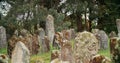 Old ancient Jewish cemetery in summer spring day. green grass and many ancient stones. Headstone Headstones Tombstones Royalty Free Stock Photo