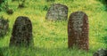 Old ancient Jewish cemetery in summer spring day. green grass and many ancient stones. Headstone Headstones Tombstones Royalty Free Stock Photo