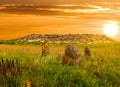 Old ancient stone idol stay among green prairie at the sunset Royalty Free Stock Photo