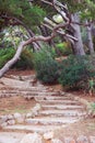 Old stone staircase in the city park Royalty Free Stock Photo