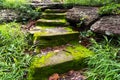 Old ancient stone stairs with moss.
