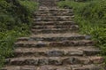 Old ancient stone stairs in nature. Steps among green grass, plants outdoors. Way and path up to temple Royalty Free Stock Photo