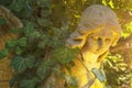 Old angel statue which has become overgrown with ivy. The rays of the sun Royalty Free Stock Photo