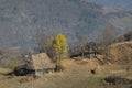 Animal shelters in trascÃÆu mountains