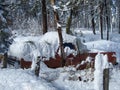 OLD ANTIQUE ABANDONED TRUCK IN WINTER IDAHO Royalty Free Stock Photo