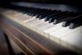 Old or antique black and white piano keys with wood grain, close-up and selective focus Royalty Free Stock Photo