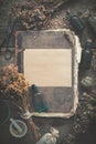 Old antique book, tincture bottles, assortment bunches of dry healthy herbs, mortar. Herbal medicine. Top view.