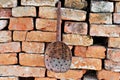 Old antique broken wood spoon with holes