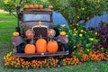 Old Antique Car Pumpkin Patch Keremeos Royalty Free Stock Photo